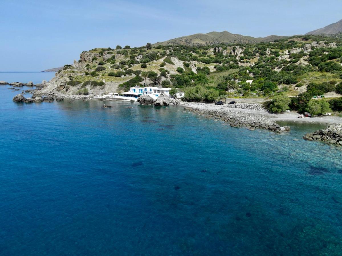Agia Fotia Taverna *